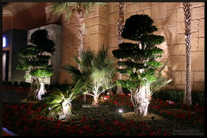 Wejście do Atlantis Hotel Dubaj
