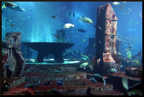 Akwarium w Atlantis Hotel Dubaj
