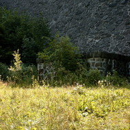 SIMG2649.jpg