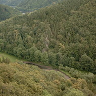 SIMG2736.jpg