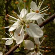 SIMG1281.jpg