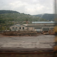 SIMG1341.jpg