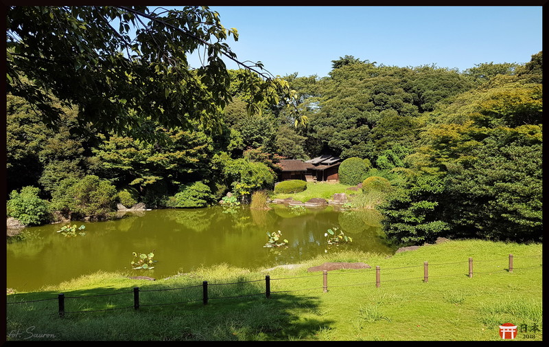 Japonia_20180826_141409.jpeg