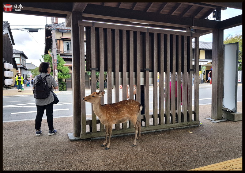 Japonia_20180908_141934.jpeg