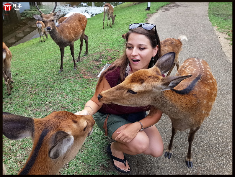 Japonia_20180908_142238.jpeg