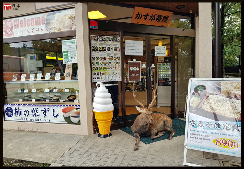 Japonia_20180908_143838.jpeg