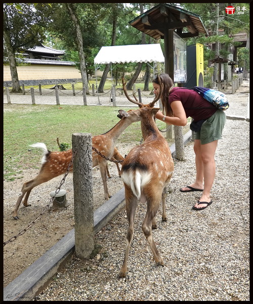 Japonia_20180908_151541.jpeg