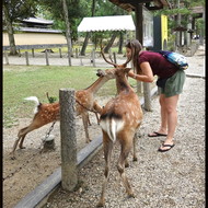 Japonia_20180908_151541.jpeg