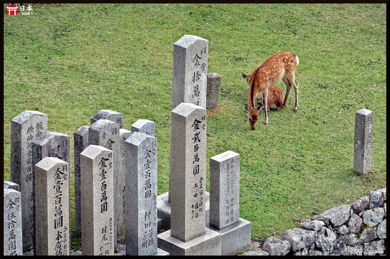 Japonia_20180908_165409.jpeg