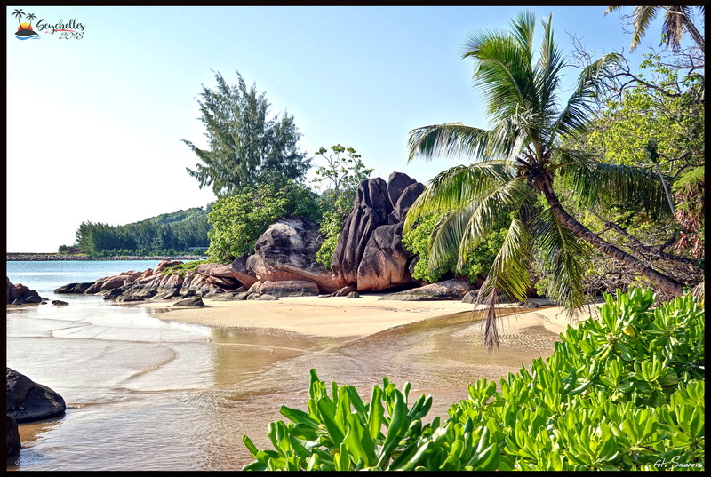 Seychelles_20181106_082348_1.jpeg