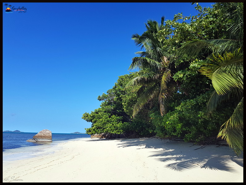 Seychelles_20181106_085940.jpeg