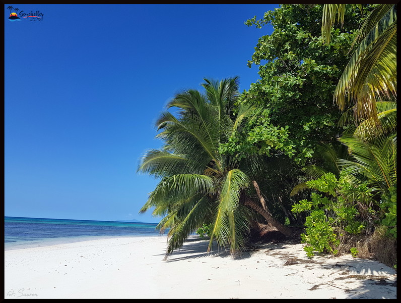 Seychelles_20181106_094057.jpeg