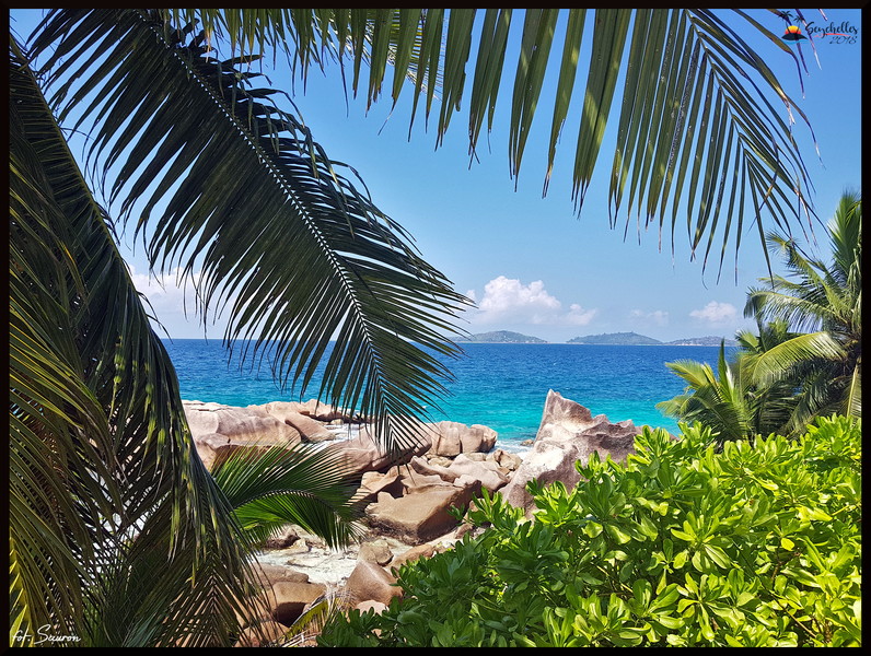 Seychelles_20181108_132455.jpeg