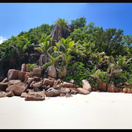 Seychelles_20181109_110944.jpeg